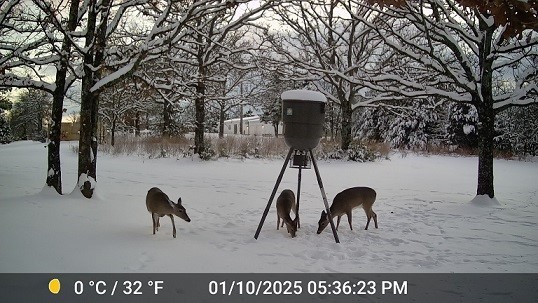 Park Image 15